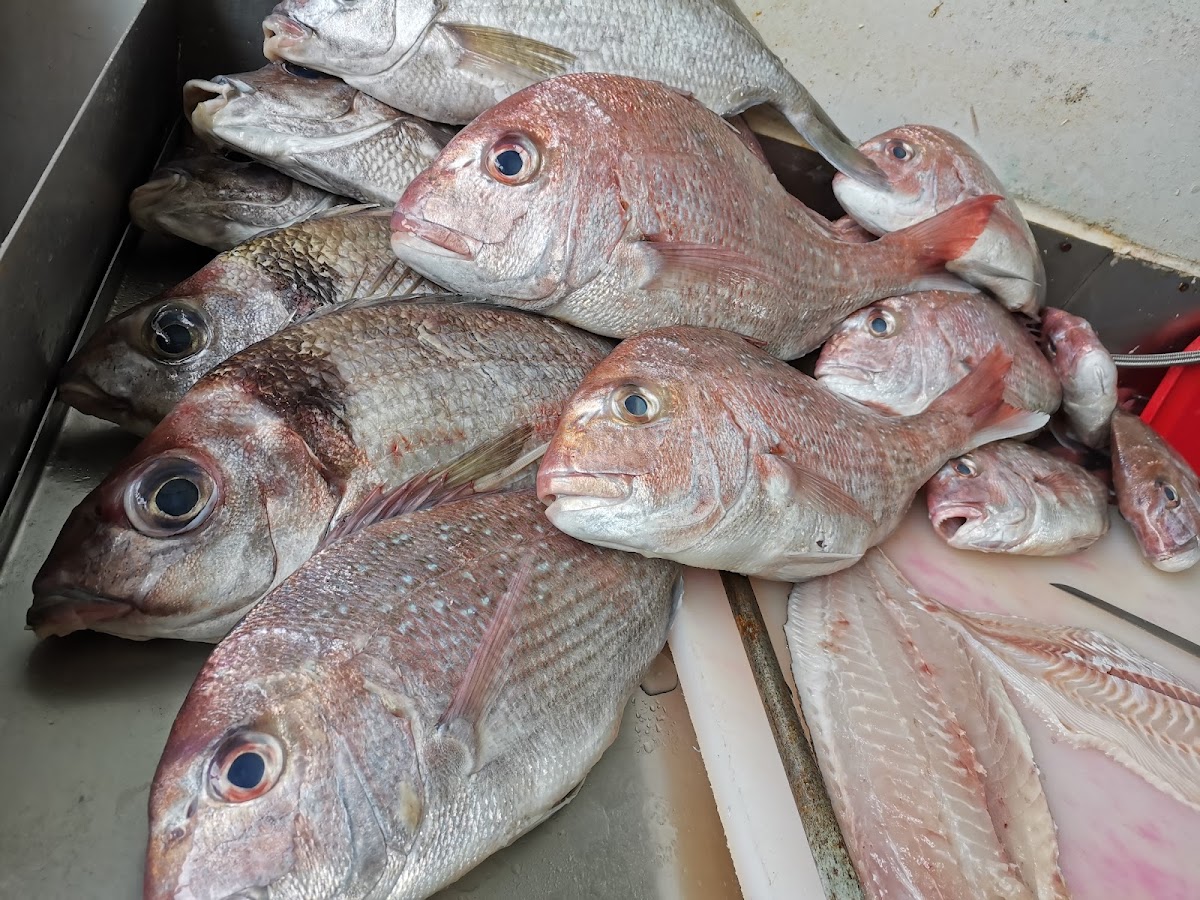 Rathgar Fish N Chips Takeaways